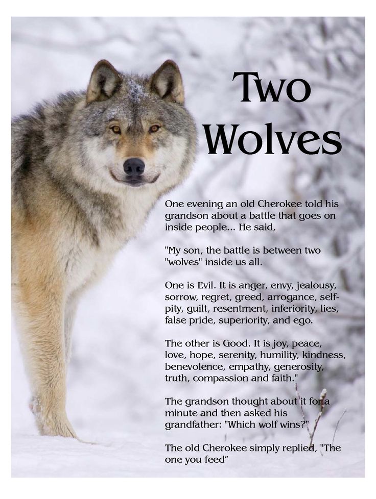 two-wolves